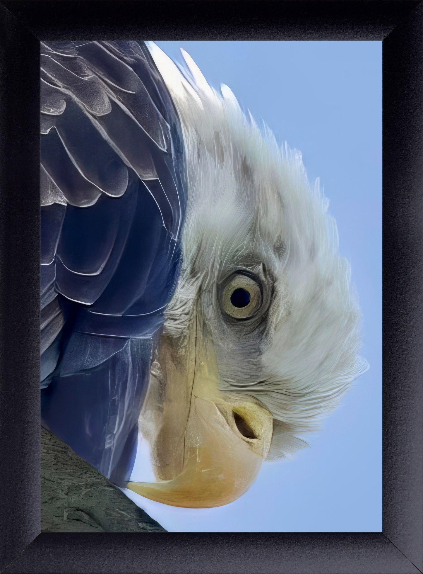 Bald Eagle Wall Art