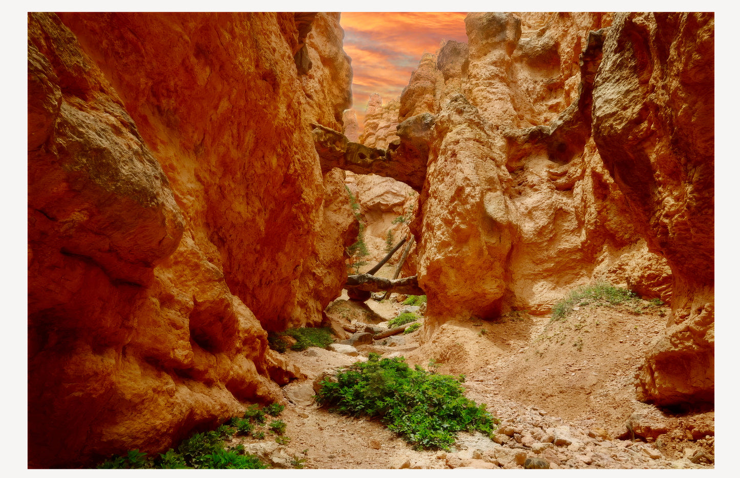Bryce Canyon Trail