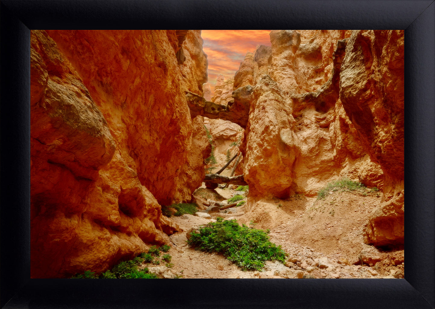 Bryce Canyon Trail