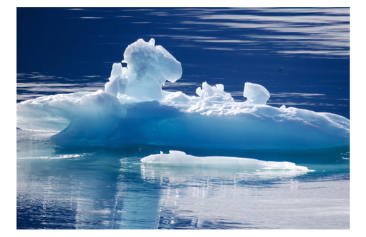 Iceberg Art