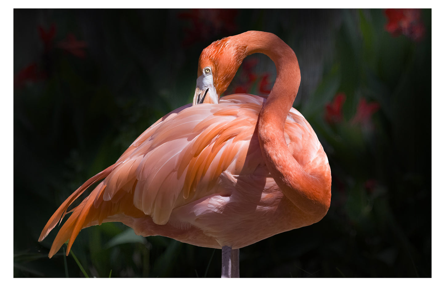 Flamingo Decor