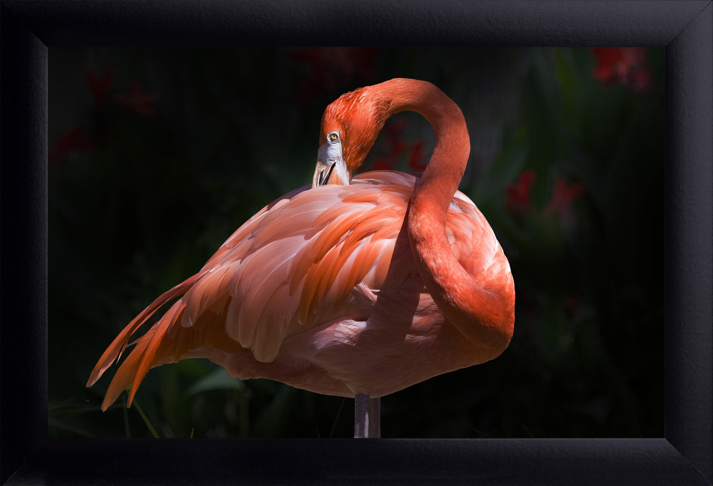 Flamingo Decor