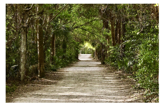 Florida Trail