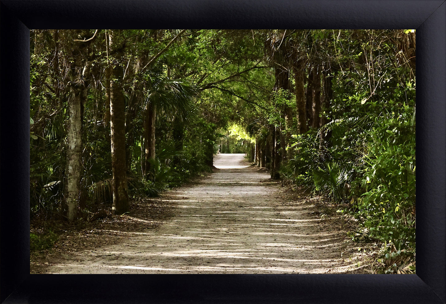 Florida Trail