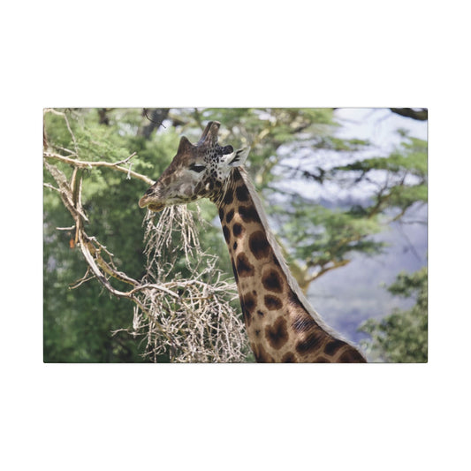 Giraffe Wall Art Canvas