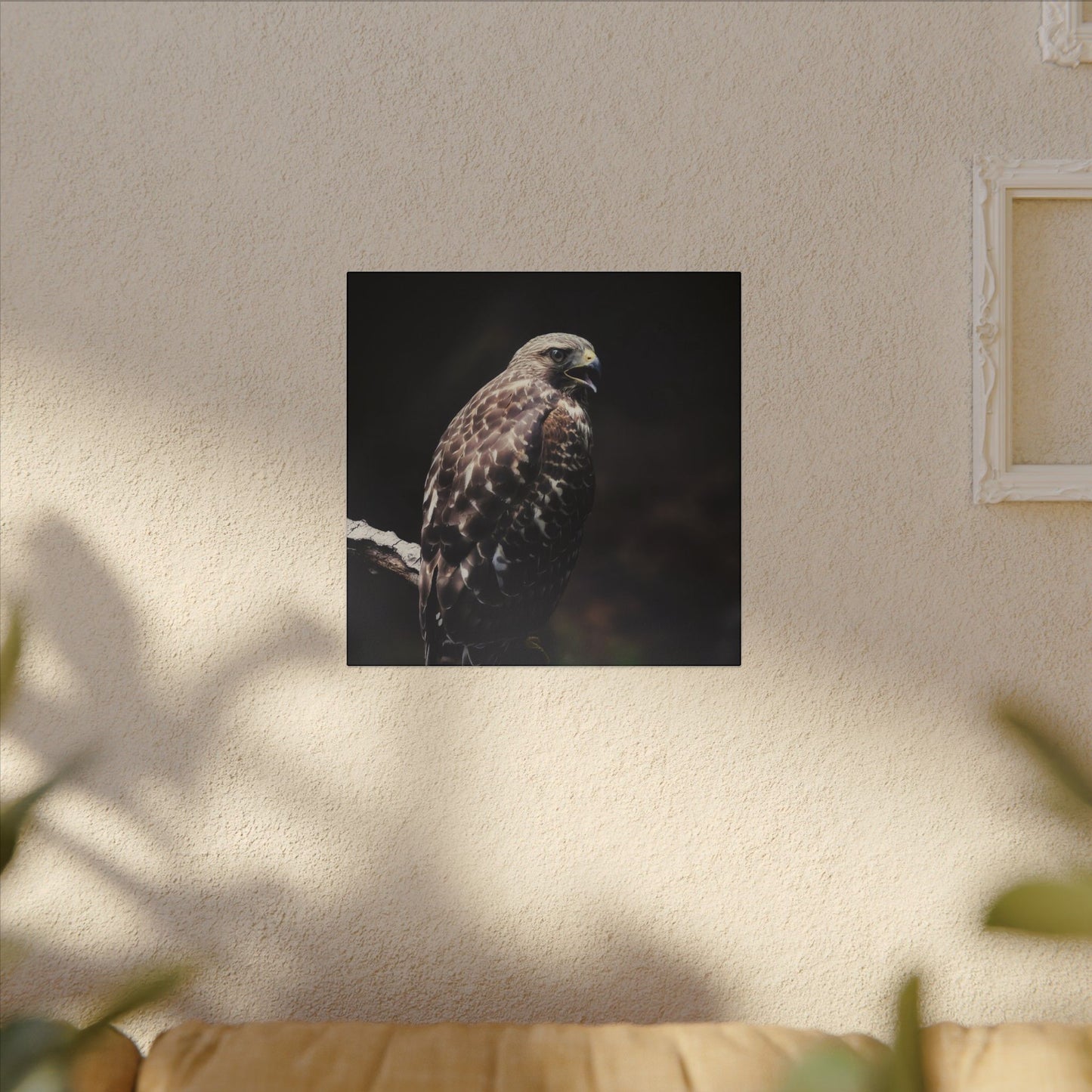 Red Tailed Hawk Canvas