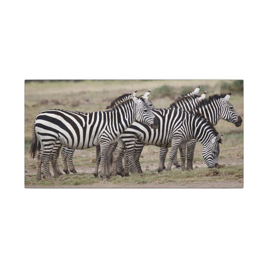 Zebra Wall Art Canvas