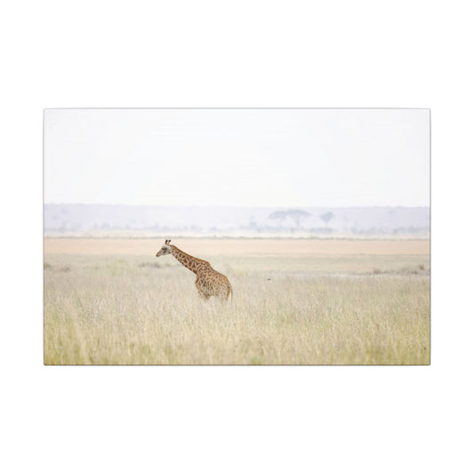 African Giraffe Canvas