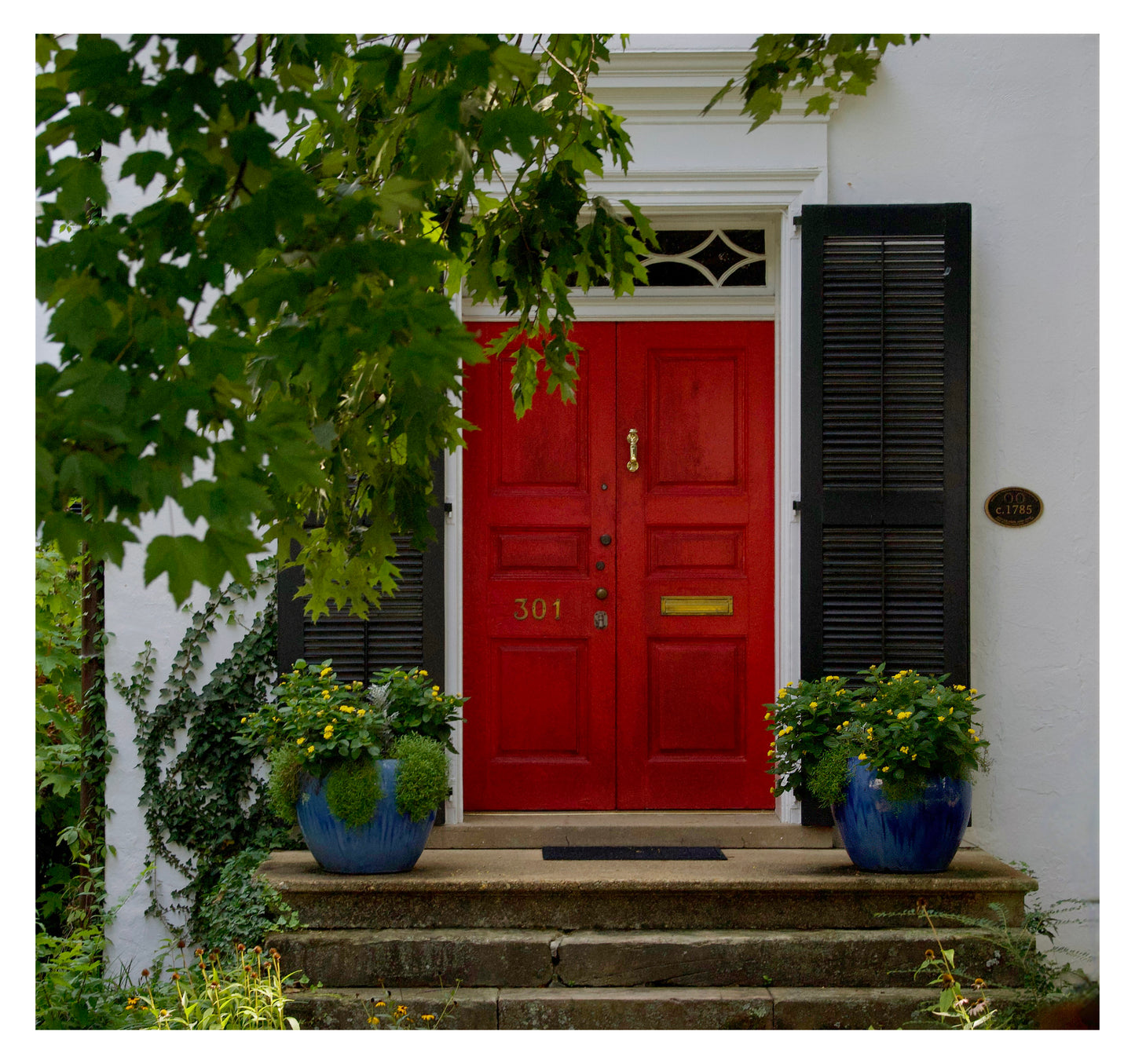 Painted Red Door