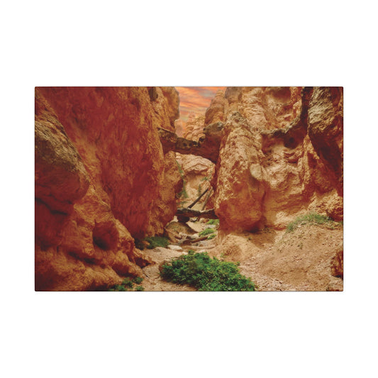 Bryce Canyon Trail Canvas