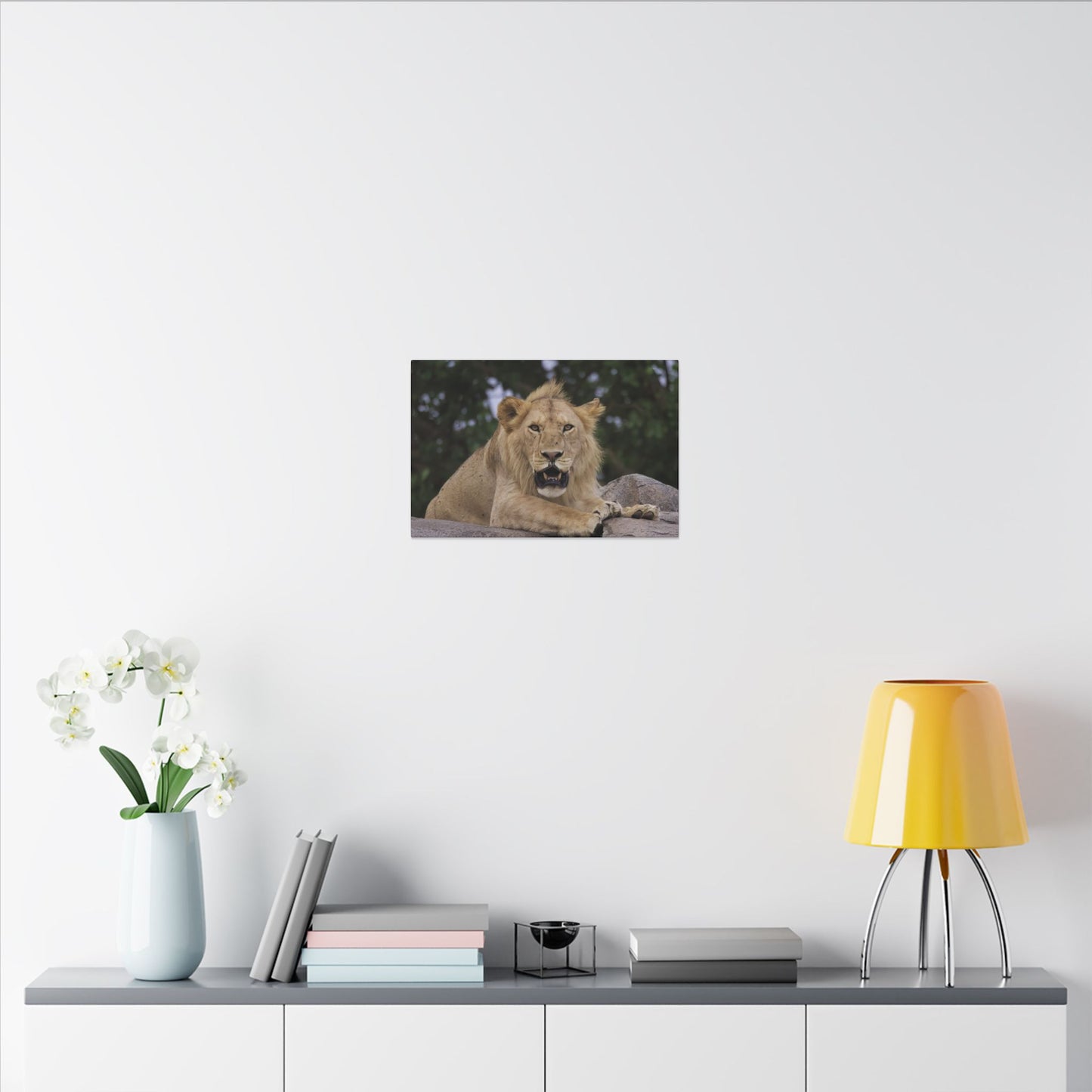 Barbary Lion Canvas