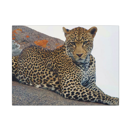 Leopard Wall Art Canvas