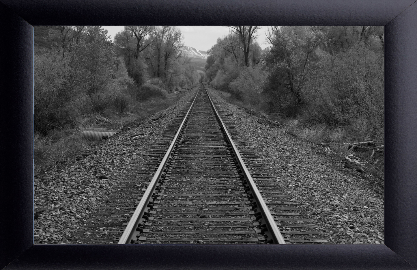 Black and White Railroad