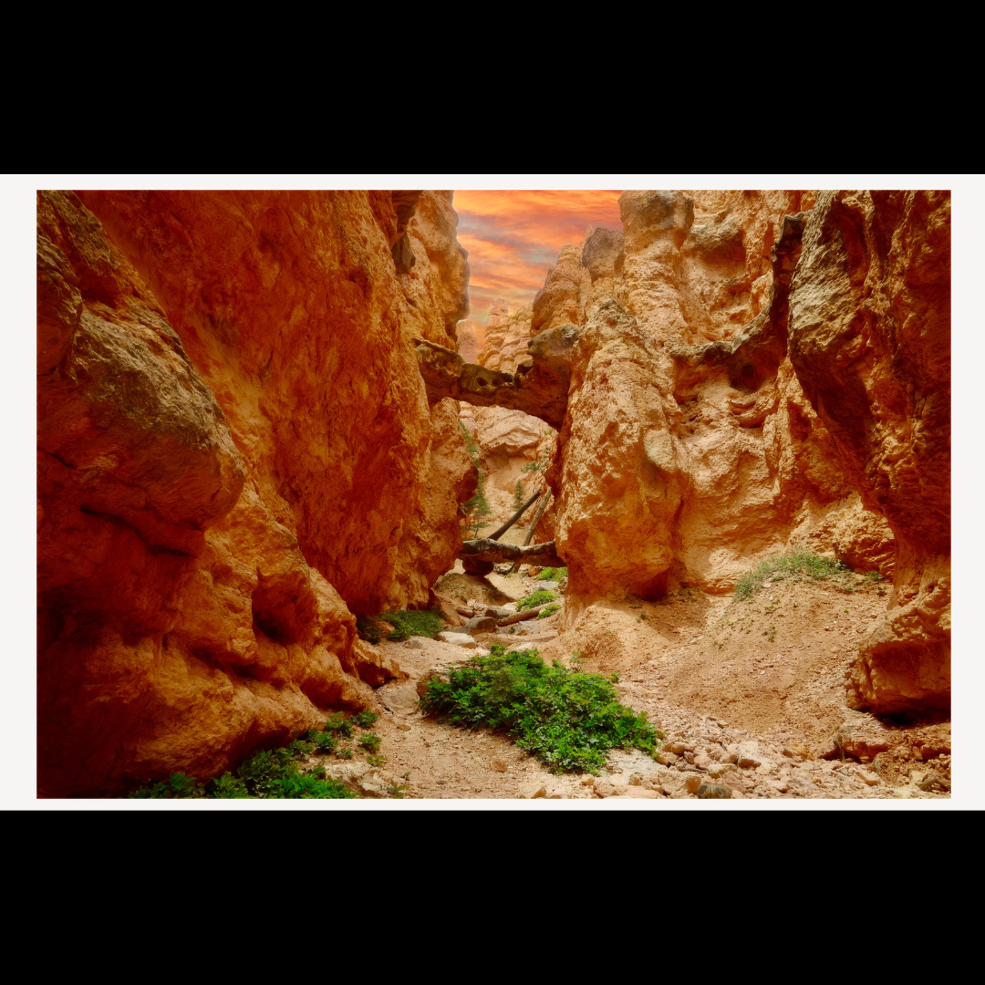 Bryce Canyon Trail