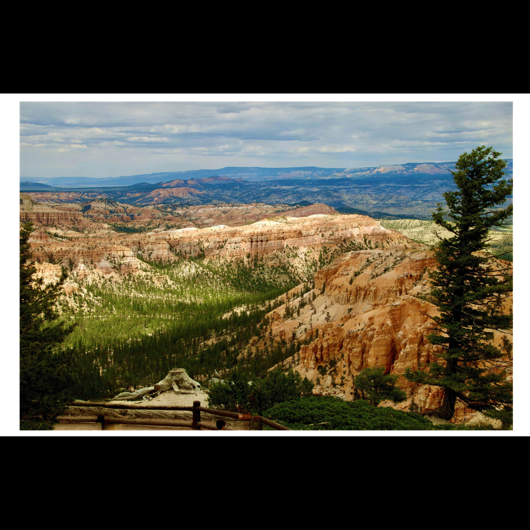 Cedar Breaks Monument Overlook