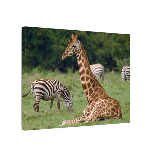 Giraffe and Zebras Canvas