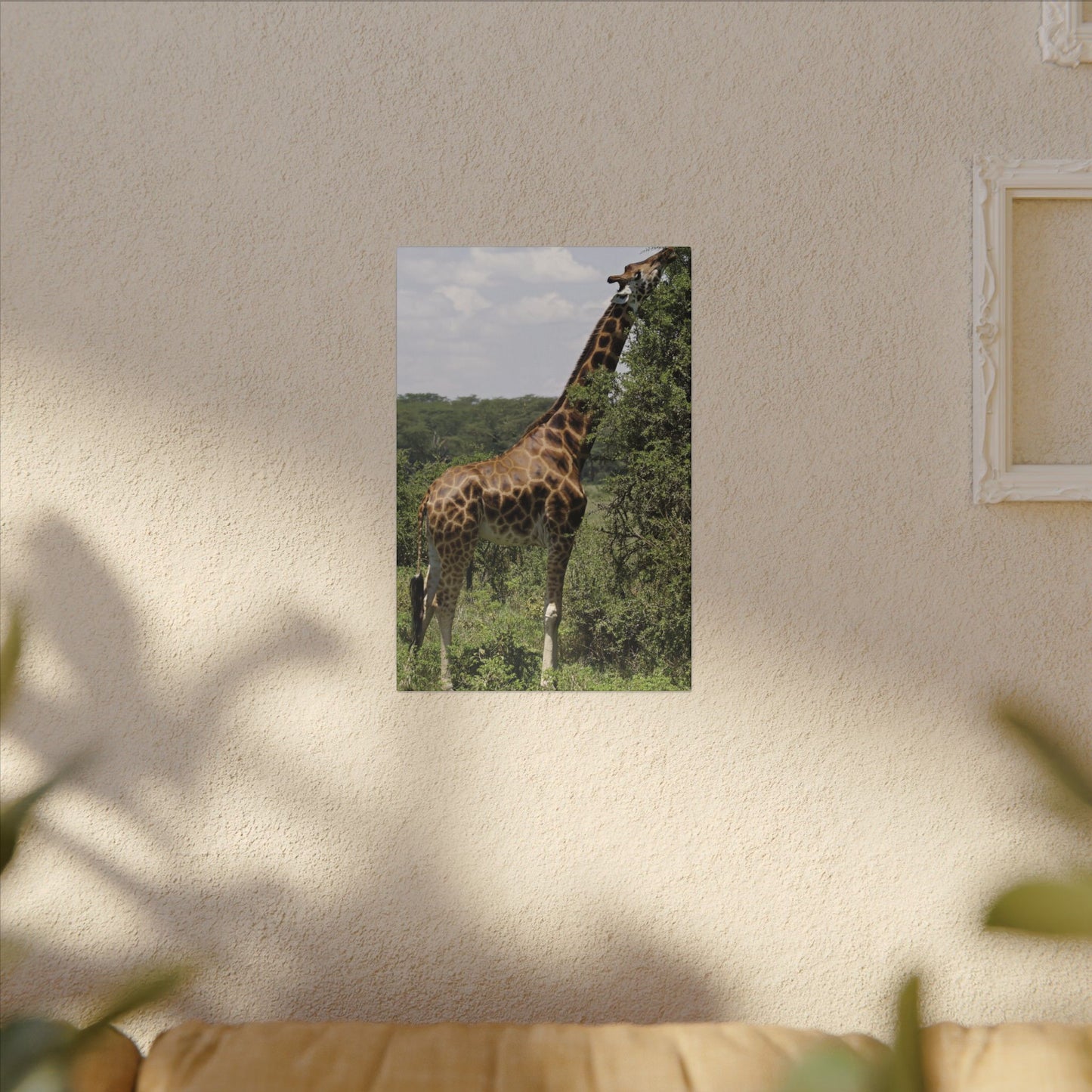 Giraffe Eating Canvas