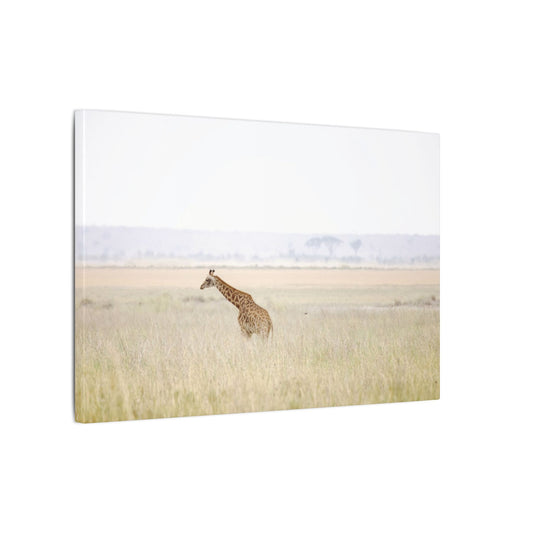 African Giraffe Canvas