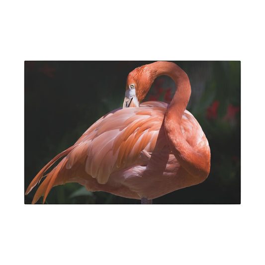 Flamingo Decor Canvas