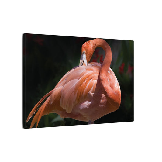 Flamingo Decor Canvas