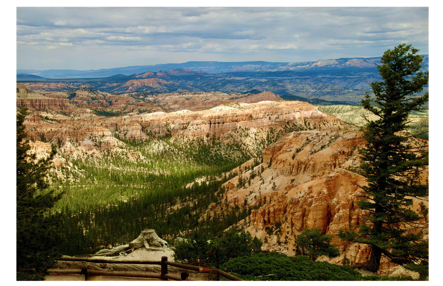 Cedar Breaks Monument Overlook