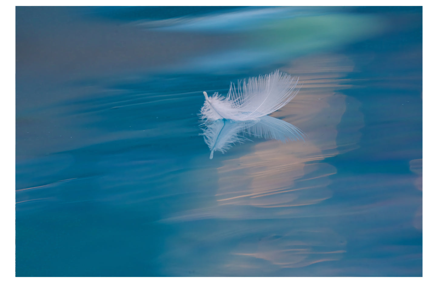 Feather on Water