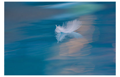 Feather on Water