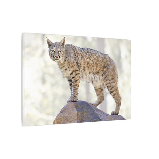Lynx Print Canvas