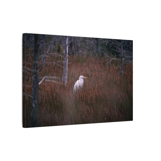 Egret in a Forest Canvas