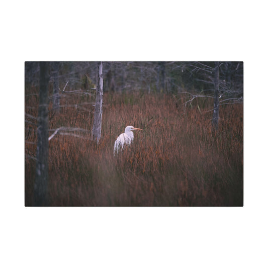 Egret in a Forest Canvas