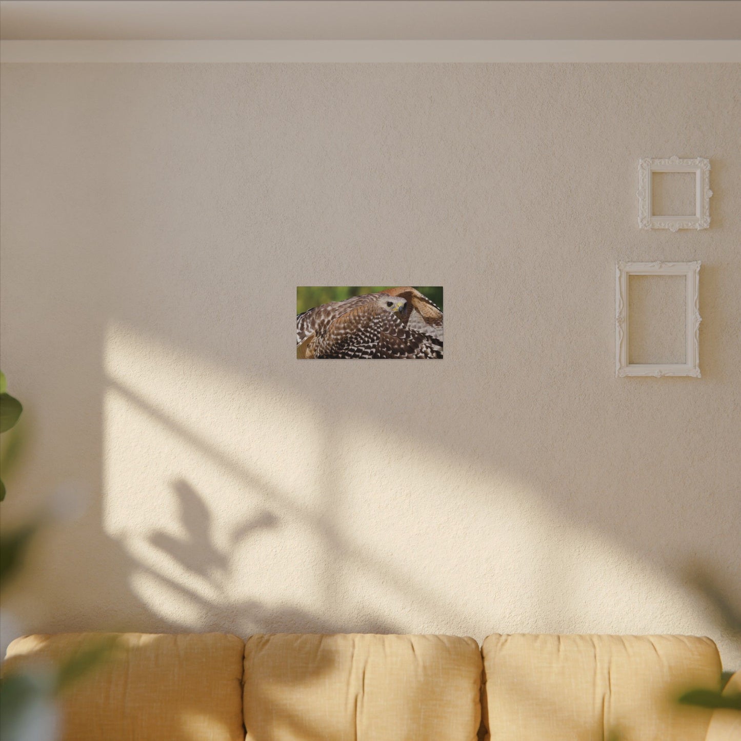 Red-Shouldered Hawk Canvas