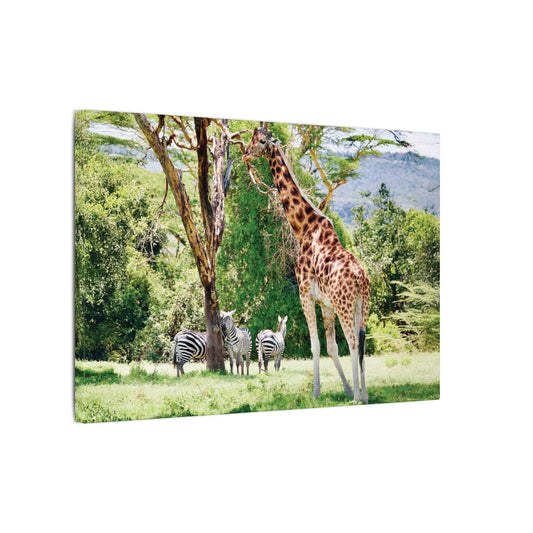Giraffe and Zebras Print Canvas