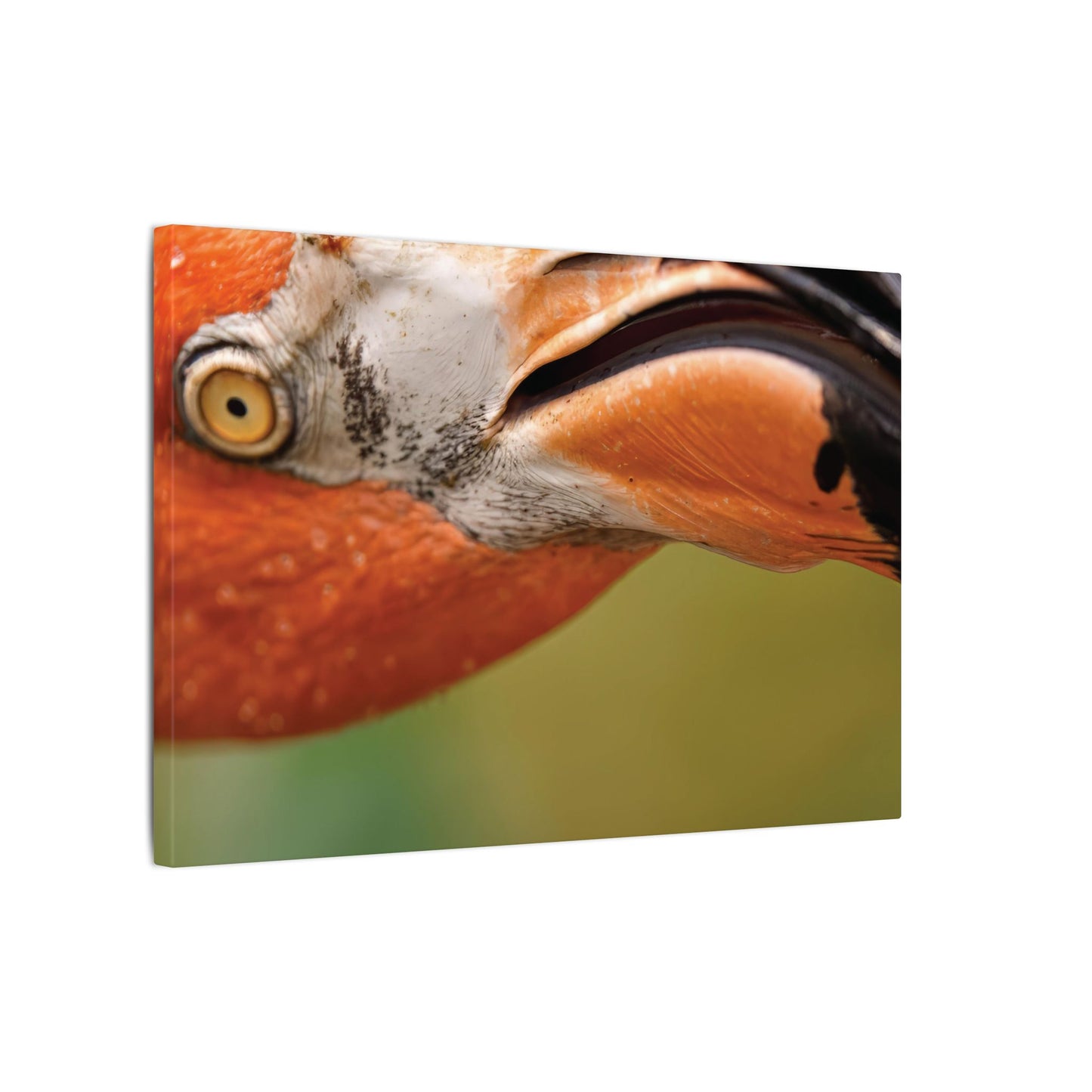 Flamingo Wall Art Canvas