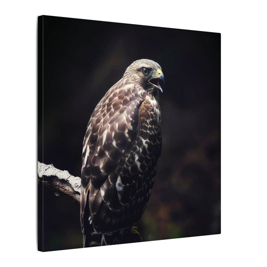 Red Tailed Hawk Canvas