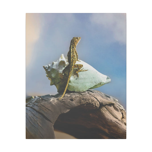 Brown Anole Canvas