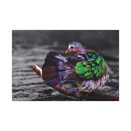 Emerald Dove Canvas