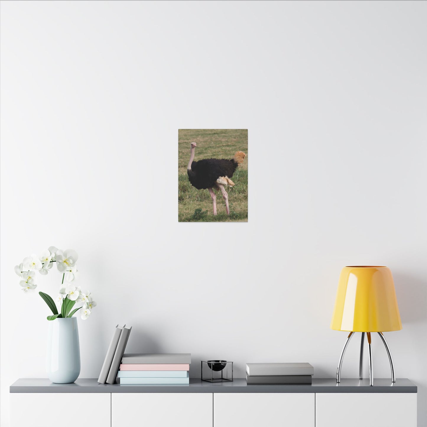 African Ostrich Canvas