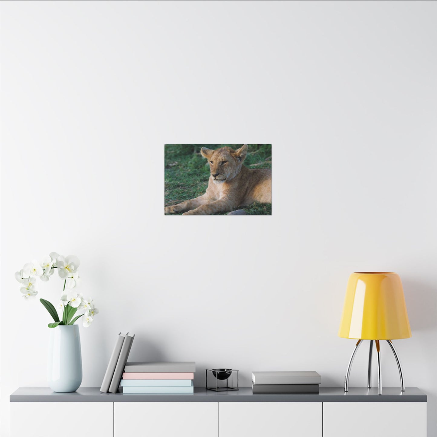 Relaxed Lion Canvas