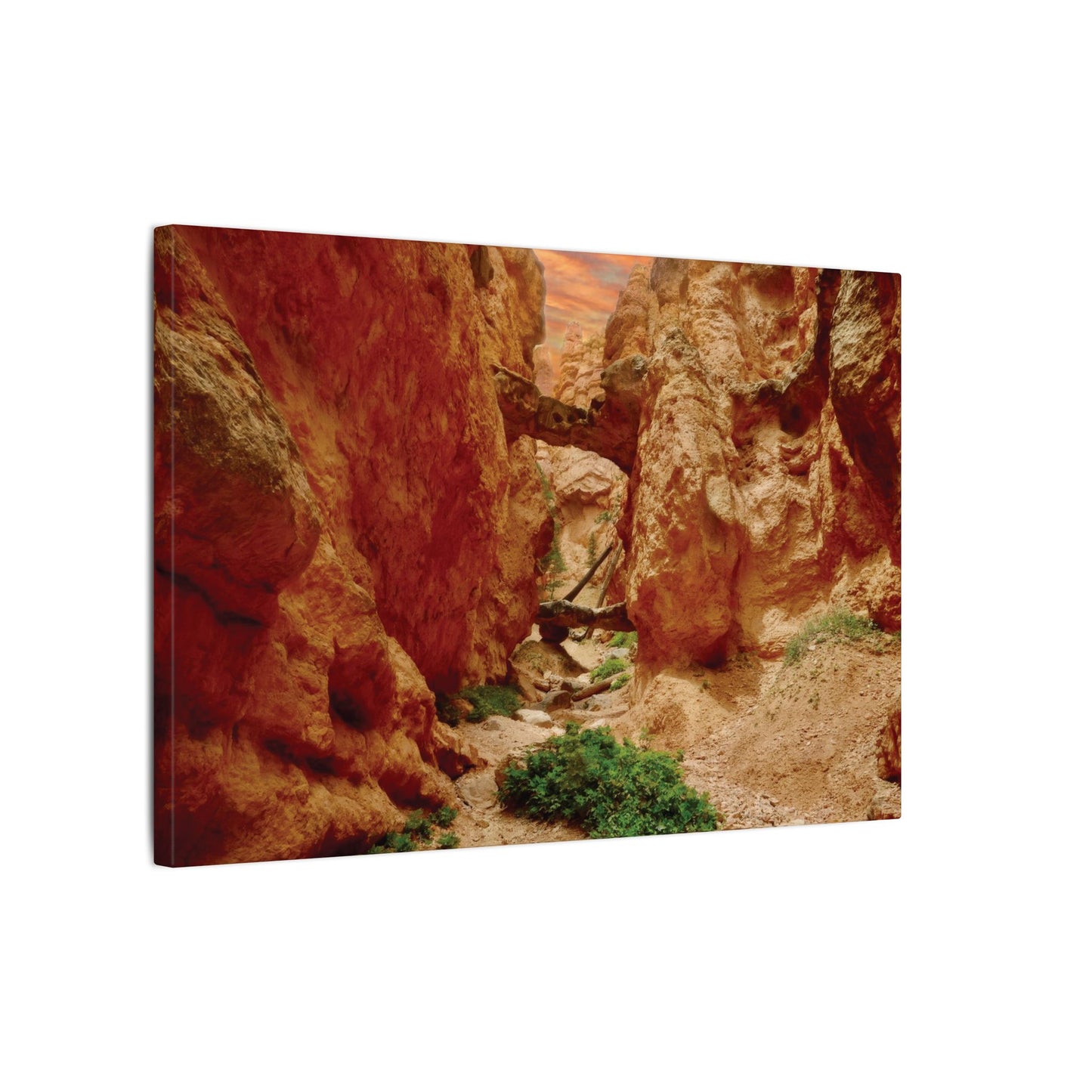 Bryce Canyon Trail Canvas
