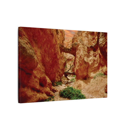 Bryce Canyon Trail Canvas