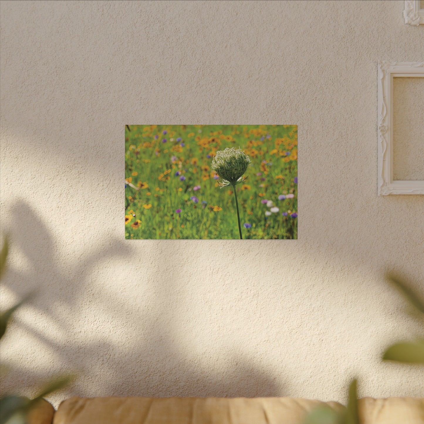 Queen Anne's Lace Print Canvas