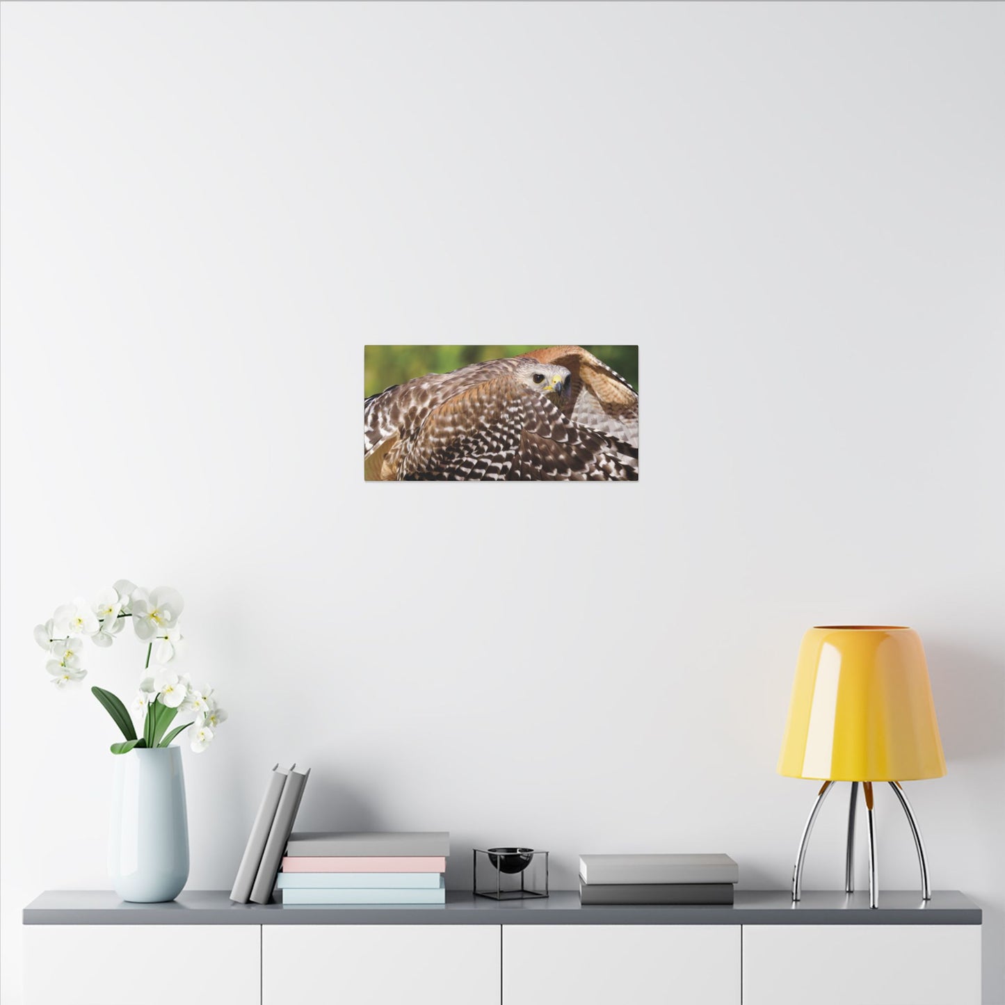 Red-Shouldered Hawk Canvas