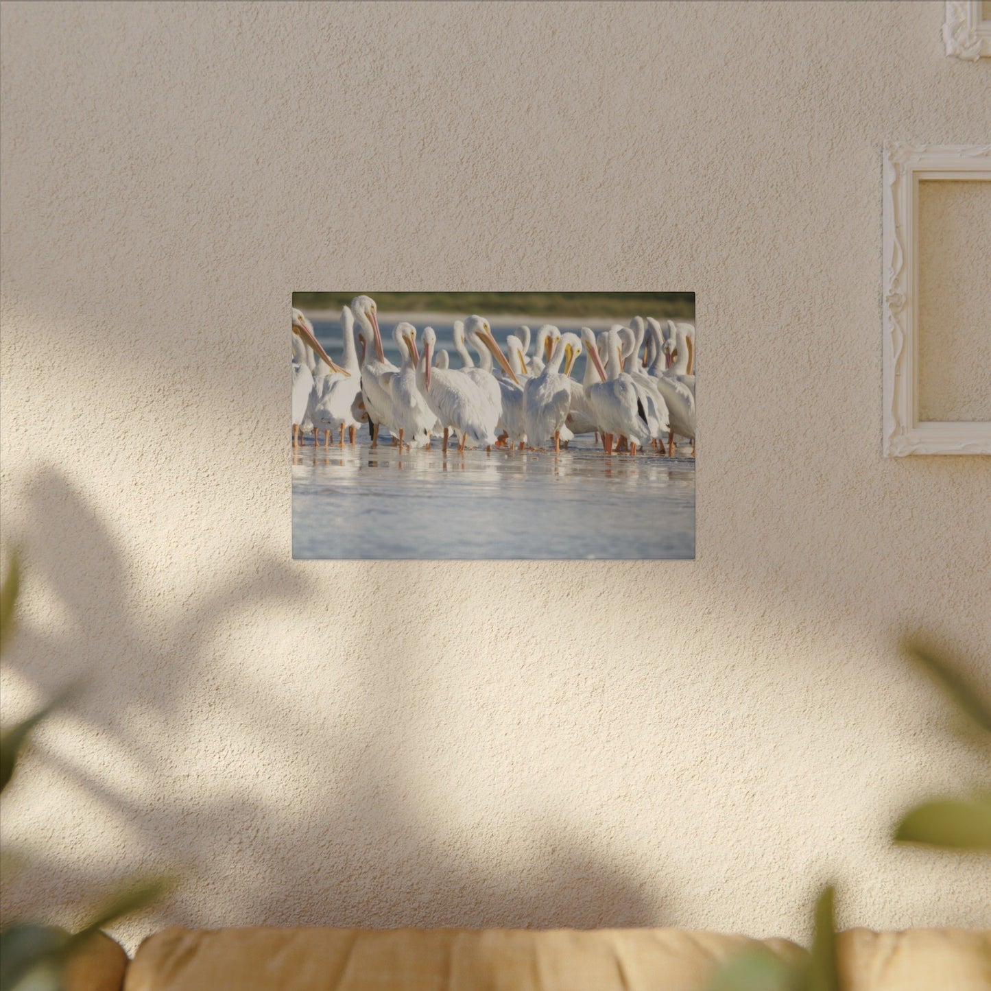 Great White Pelicans Canvas