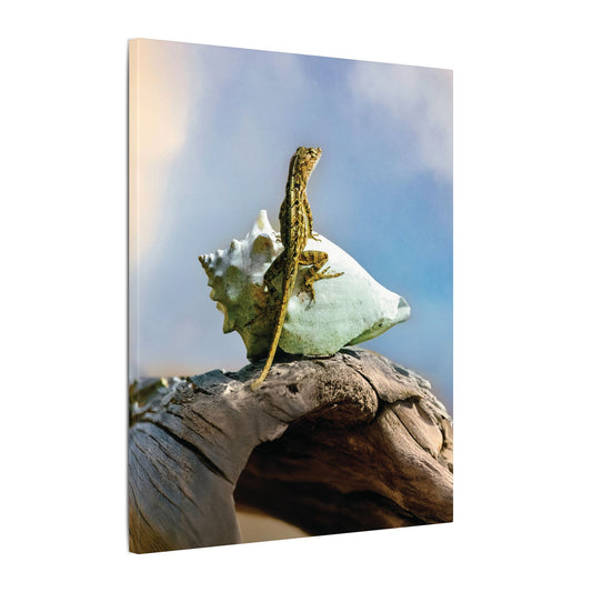 Brown Anole Canvas