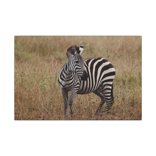 Zebra Photography Canvas
