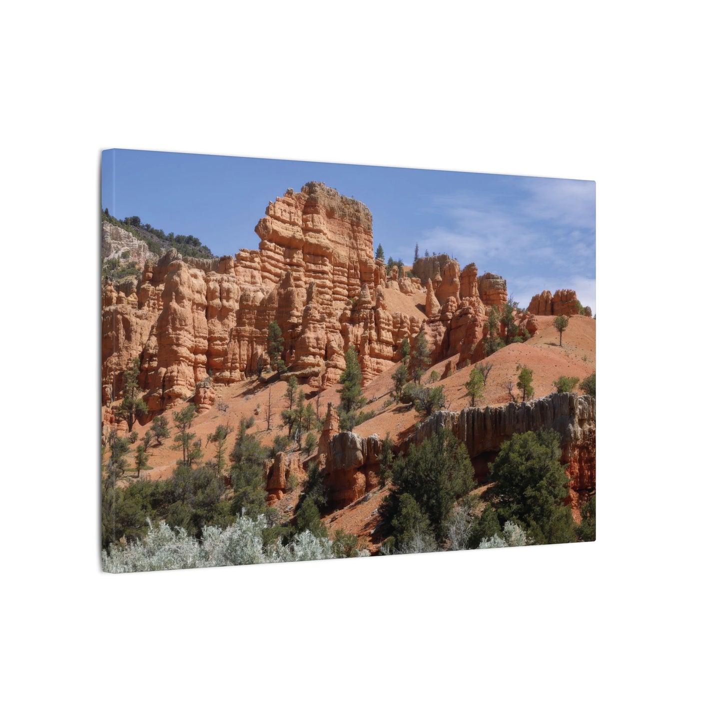 Red Canyon Utah Canvas