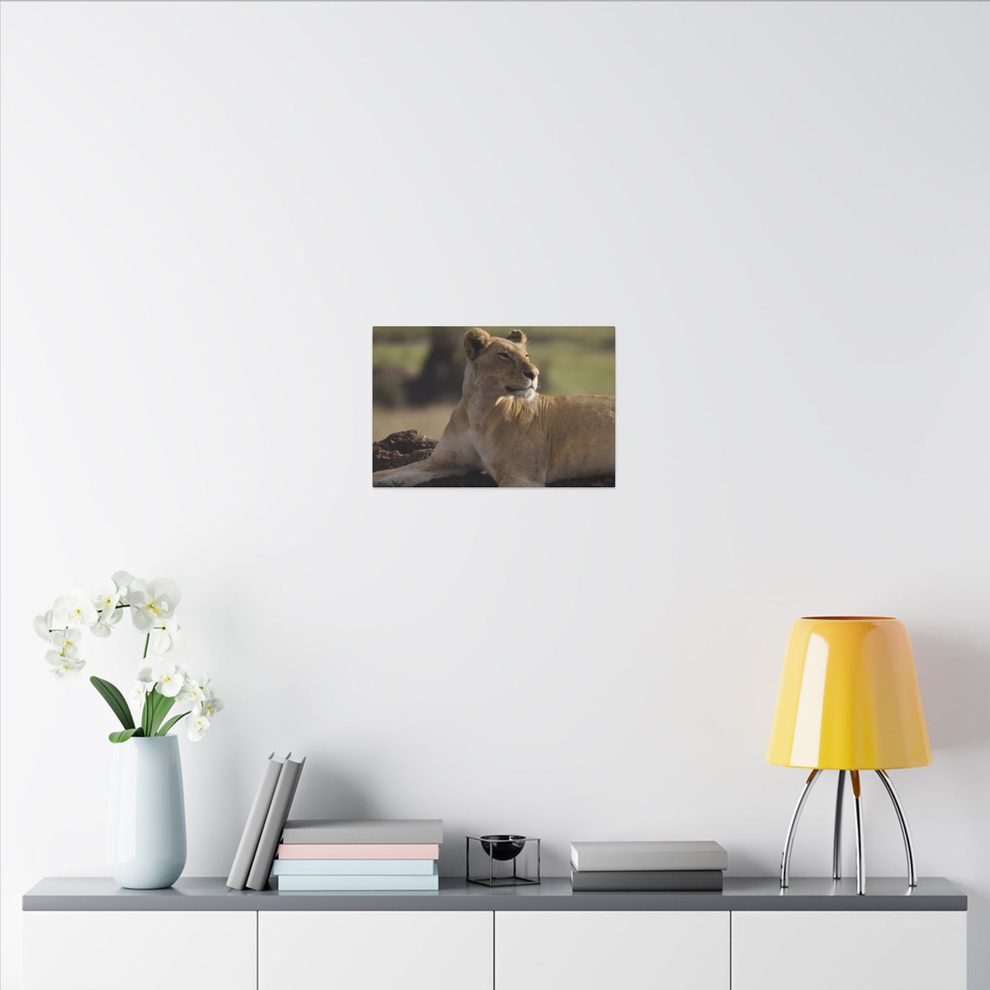 Barbary Lioness Canvas