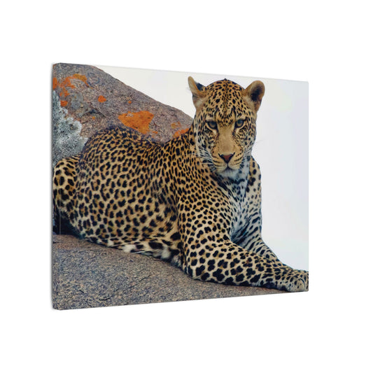 Leopard Wall Art Canvas