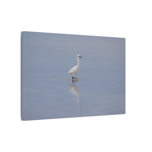 Egret Canvas