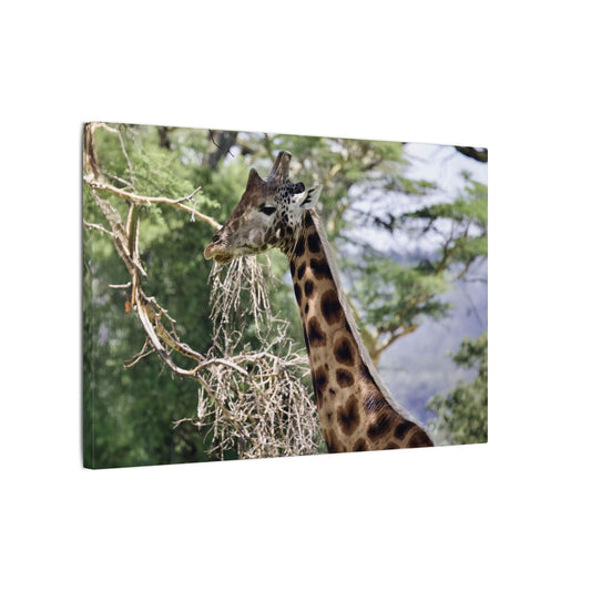 Giraffe Wall Art Canvas